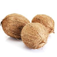 Indian Semi Husked Coconut Exporters