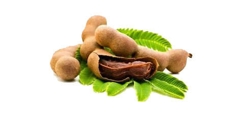 Dry and Raw Tamarind Exporters in India