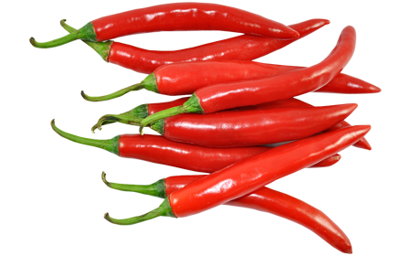 Bulb Chillies exporters in India