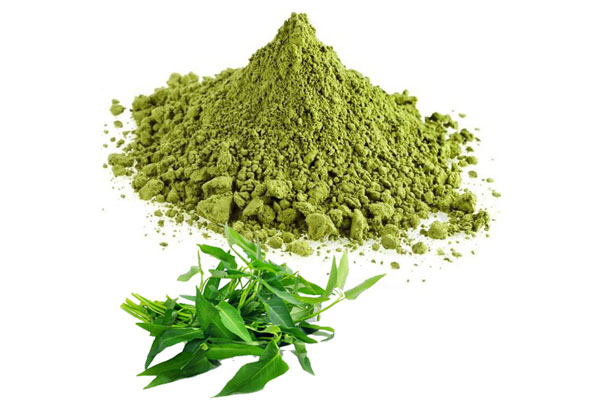 Curry Leaves Powder Exporters in India