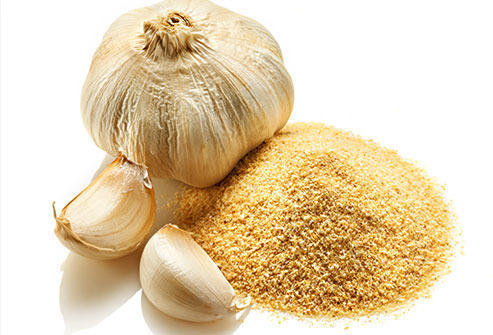 Garlic Powder Exporters in India