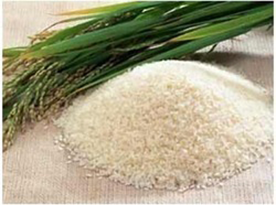 Raja Bogam Rice Exporters in India